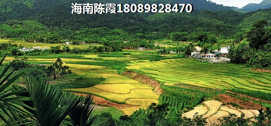 河南房价为什么这么贵