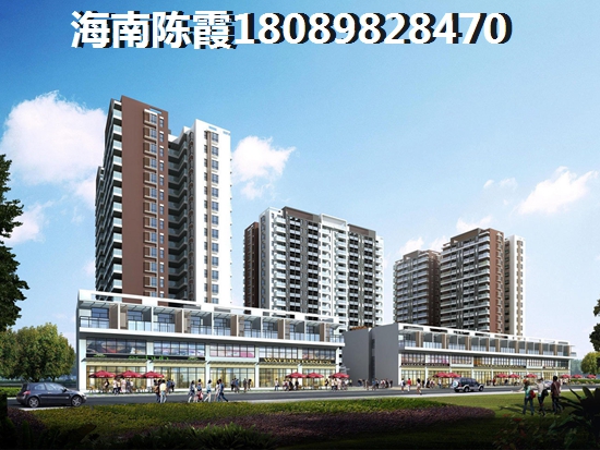 万科大都会视频讲房